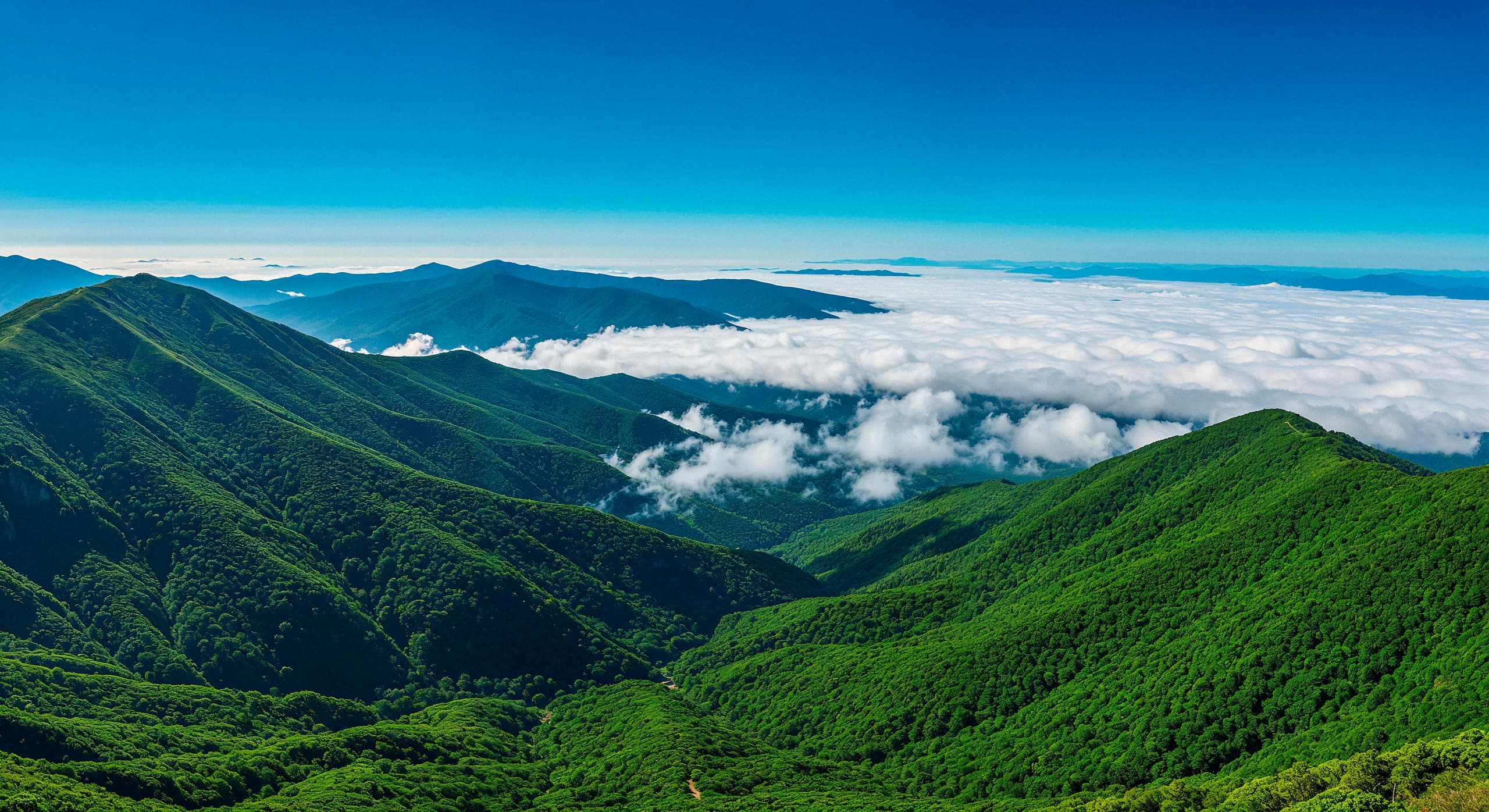 Mambilla Plateau